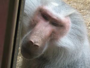 img_7051