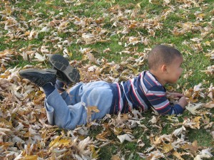 img_8116