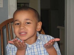 img_9411 img_9411