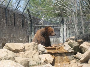 img_9855 img_9855
