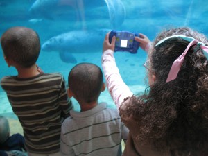 img_9881 img_9881