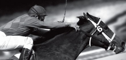 Victory Gallop Benefit